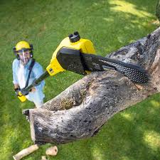 Lawn Maintenance Plans in Talladega, AL