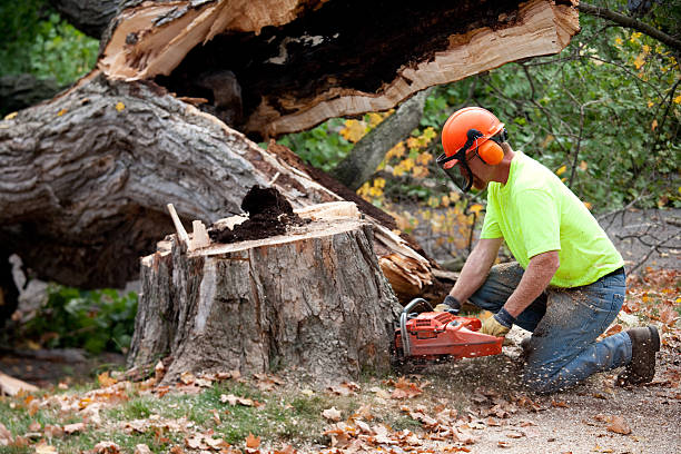 Mulching Services in Talladega, AL